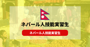 ネパール人技能実習生について解説！気になる性格と特徴は？